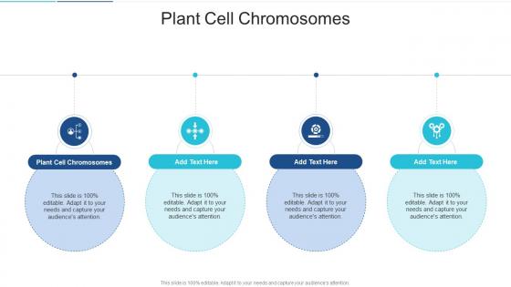Plant Cell Chromosomes In Powerpoint And Google Slides Cpb