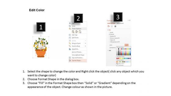 Plant With Rainbow For New Ideas PowerPoint Template