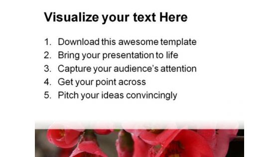 Pomegranate Flowers Beauty PowerPoint Templates And PowerPoint Backgrounds 0211