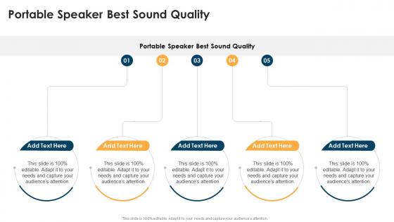 Portable Speaker Best Sound Quality In Powerpoint And Google Slides Cpb