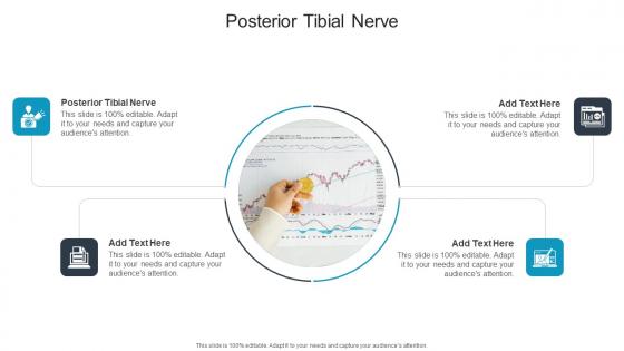 Posterior Tibial Nerve In Powerpoint And Google Slides Cpb