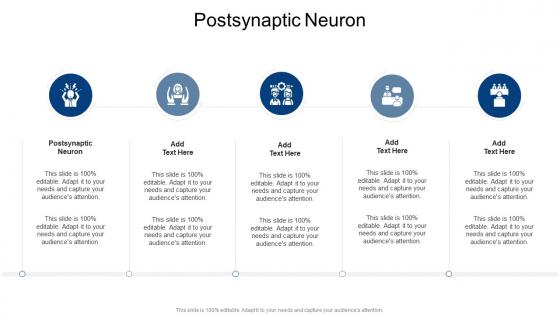 Postsynaptic Neuron In Powerpoint And Google Slides Cpb