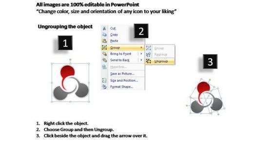 PowerPoint Design Leadership Circle Diagram Ppt Template
