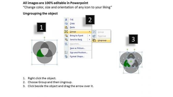 PowerPoint Design Success Venn Diagram Ppt Slides