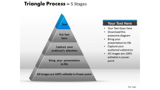 PowerPoint Designs Leadership Triangle Process Ppt Design