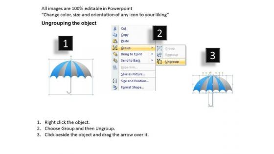 PowerPoint Presentation Company Umbrella Chart Ppt Themes