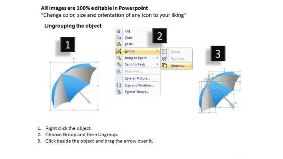 PowerPoint Presentation Corporate Leadership Umbrella Chart Ppt Process