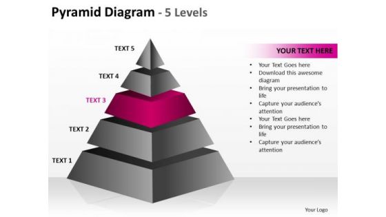 PowerPoint Process Company Cone Diagram Ppt Designs PowerPoint Process Company Cone Diagram Ppt Designs