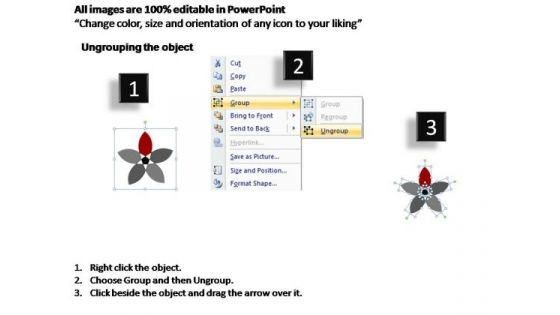 PowerPoint Process Leadership Flower Petal Ppt Design Slides