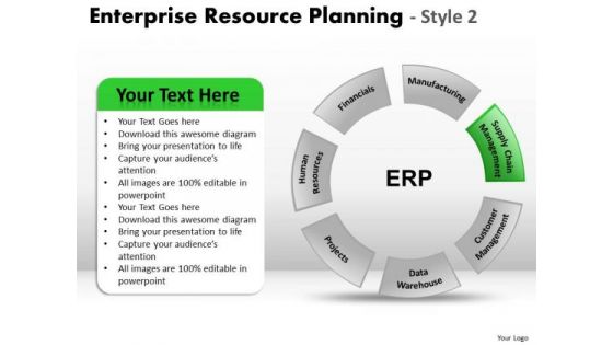 PowerPoint Process Strategy Enterprise Resource Ppt Slides