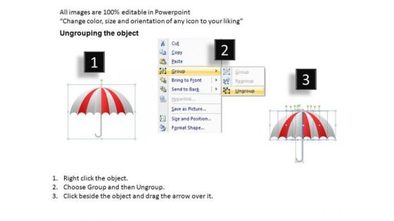 PowerPoint Slides Business Leadership Targets Umbrella Chart Ppt Design