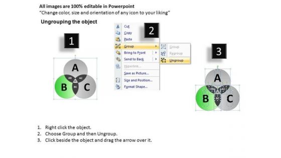 PowerPoint Theme Business Leadership Venn Circular Chart Diagram Ppt Design