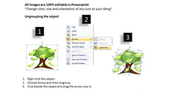 Ppt Slides Family Tree Diagram