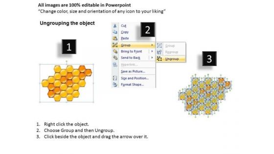 Ppt Slides Hexagonal Comb