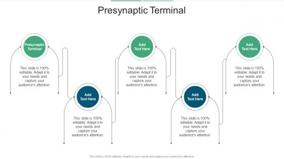 Presynaptic Terminal In Powerpoint And Google Slides Cpb Presynaptic Terminal In Powerpoint And Google Slides Cpb