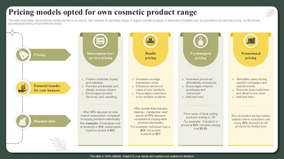 Pricing Models Opted For Own Cosmetic Product Range Successful Launch Ppt Template