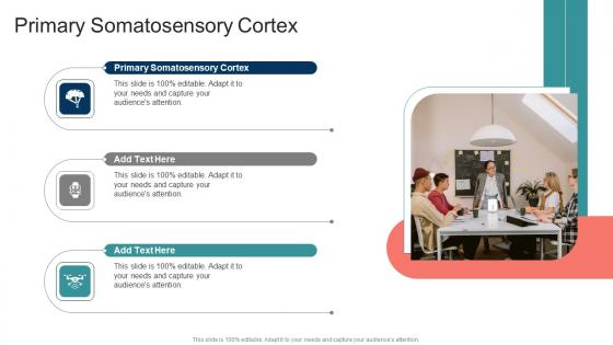 Primary Somatosensory Cortex In Powerpoint And Google Slides Cpb