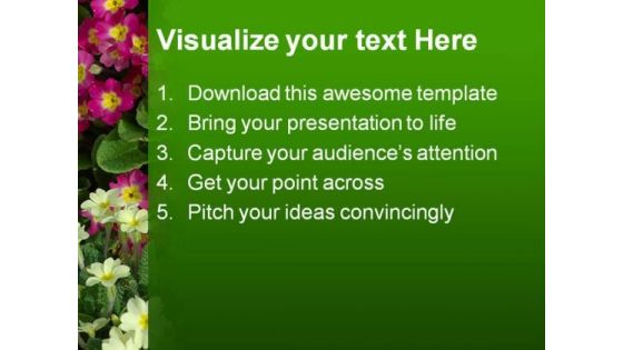 Primroses Beauty PowerPoint Templates And PowerPoint Backgrounds 0311