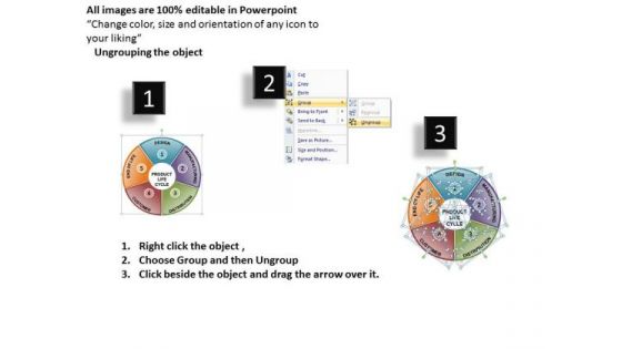 Product Lifecycle Pie Chart PowerPoint Slides Editable Ppt Slides