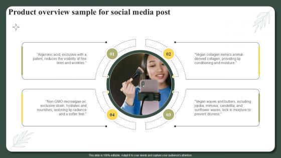 Product Overview Sample For Social Media Post Successful Launch Ppt Example