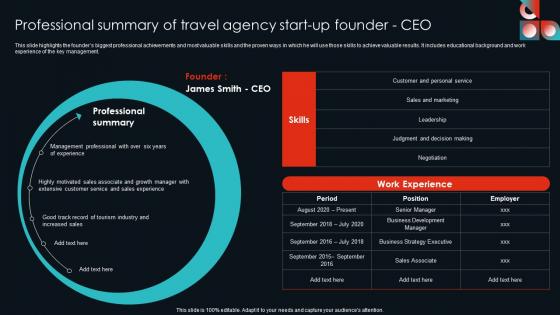 Professional Summary Of Travel Agency Cultural Travel Agency Business Plan Brochure Pdf