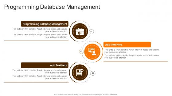 Programming Database Management In Powerpoint And Google Slides Cpb