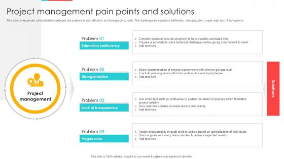Project Management Pain Points And Solutions Ppt Template SS