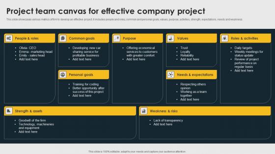 Project Team Canvas For Effective Company Project Information Pdf Project Team Canvas For Effective Company Project Information Pdf