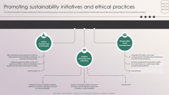 Promoting Sustainability Initiatives And Ethical Practices Penetrating Markets With Financial Strategy SS V
