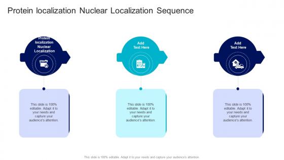 Protein Localization Nuclear Localization Sequence In Powerpoint And Google Slides Cpb