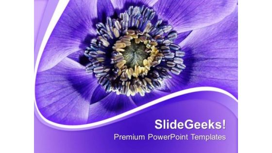 Purple Colors Flower Background PowerPoint Templates Ppt Backgrounds For Slides 0413