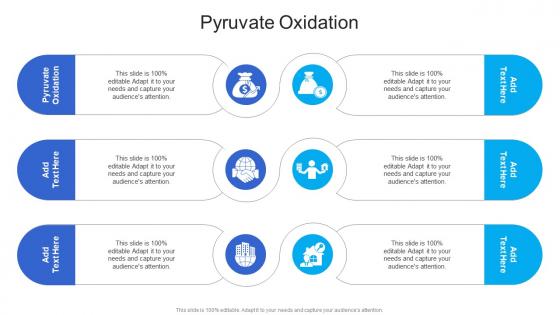 Pyruvate Oxidation In Powerpoint And Google Slides Cpb