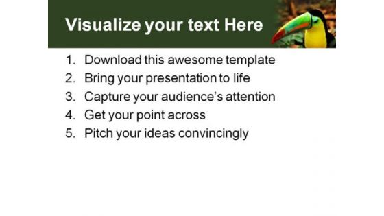 Rainbow Toucan Animals PowerPoint Themes And PowerPoint Slides 0611