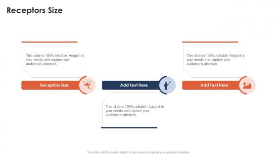 Receptors Size In Powerpoint And Google Slides Cpb