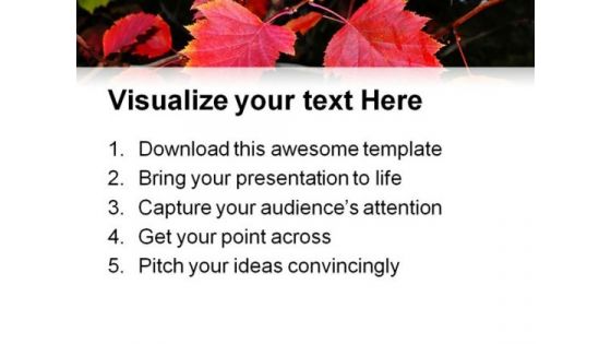 Red Autumn Leaves Nature PowerPoint Templates And PowerPoint Backgrounds 0411