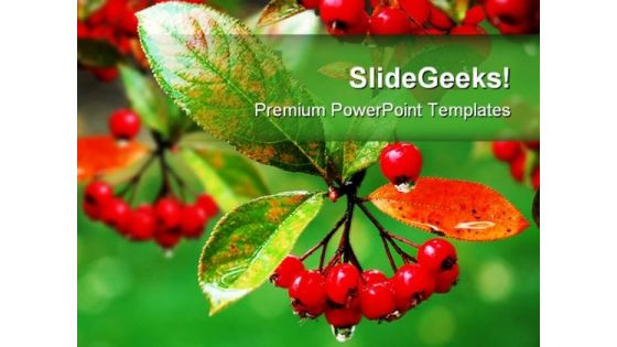 Red Berries Food PowerPoint Backgrounds And Templates 1210