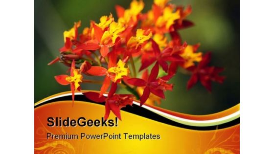 Red Orchid Nature PowerPoint Templates And PowerPoint Backgrounds 0611