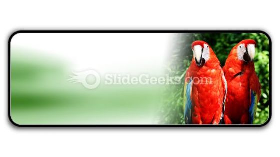 Red Parrots PowerPoint Icon R