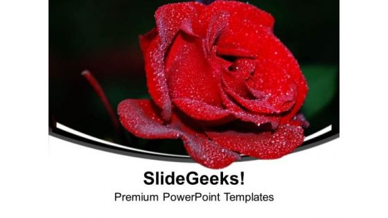 Red Rose Beauty Flower PowerPoint Templates Ppt Backgrounds For Slides 0313