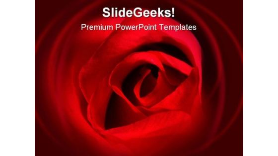 Red Rose Beauty PowerPoint Backgrounds And Templates 0111