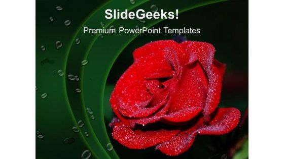 Red Rose Beauty PowerPoint Templates And PowerPoint Themes 0512