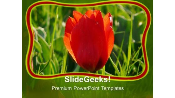Red Tulip With Green Abstract Background PowerPoint Templates Ppt Backgrounds For Slides 0713