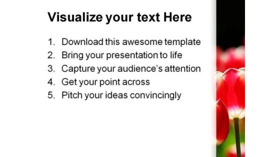 Red Tulips Beauty PowerPoint Templates And PowerPoint Backgrounds 0211