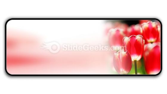 Red Tulips PowerPoint Icon R