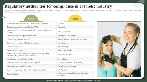 Regulatory Authorities For Compliance In Cosmetic Industry Successful Launch Ppt Template