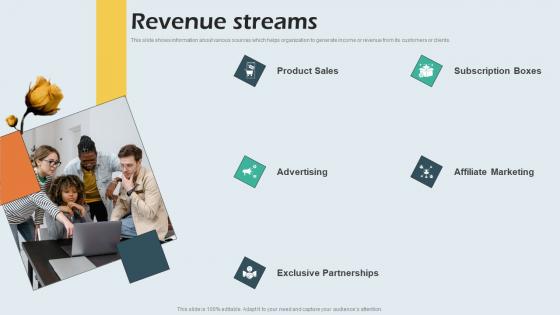 Revenue Streams Beauty Brand Capital Raising Pitch Deck Download Pdf Revenue Streams Beauty Brand Capital Raising Pitch Deck Download Pdf