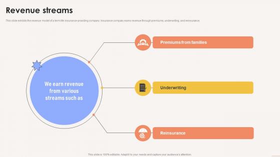 Revenue Streams Term Life Insurance Platform Investor Funding Elevator Pitch Deck