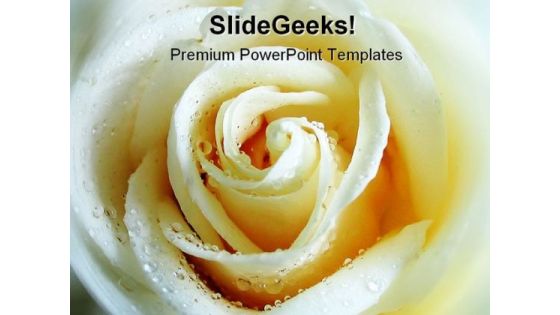 Rose Beauty PowerPoint Template 1110