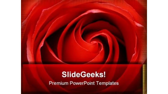 Rose Beauty PowerPoint Templates And PowerPoint Backgrounds 0711