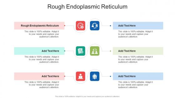 Rough Endoplasmic Reticulum In Powerpoint And Google Slides Cpb